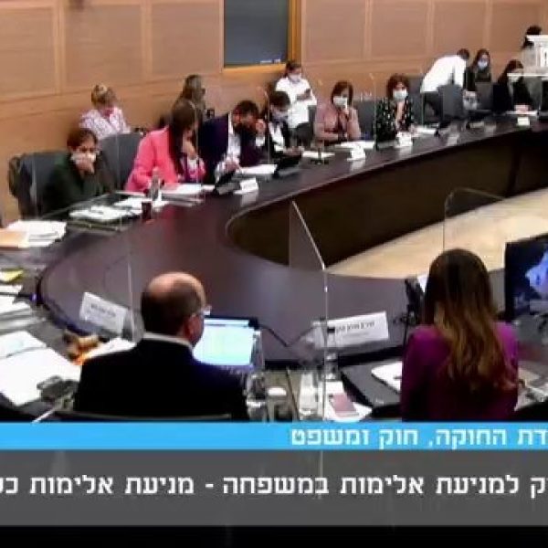 חוק האלימות הכלכלית